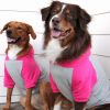 Color-Block Dog Hoodie | Stretch Cotton Dog Sweatshirt with Leash Access