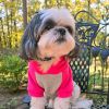 Color-Block Dog Hoodie | Stretch Cotton Dog Sweatshirt with Leash Access