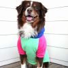 Color-Block Dog Hoodie | Stretch Cotton Dog Sweatshirt with Leash Access