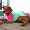 Color-Block Dog Hoodie | Stretch Cotton Dog Sweatshirt with Leash Access
