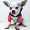 Color-Block Dog Hoodie | Stretch Cotton Dog Sweatshirt with Leash Access