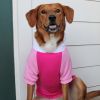 Color-Block Dog Hoodie | Stretch Cotton Dog Sweatshirt with Leash Access