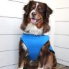 Alpine Tuf Terrain Dog Coat | Water-Resistant Canvas Winter Dog Jacket