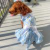Blue Daisy Dog Dress with Matching Leash | Floral Dog Harness Dress