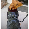 Top Dog Flight Harness Coat | Black Faux Leather Dog Jacket with Matching Leash
