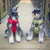 Venture Paw Pull Control Dog Harness | Outdoor No-Pull Hiking Harness