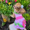 Watermelon Dog Harness Dress with Matching Leash | Summer Dog Dress
