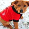 Highline Fleece Dog Coat | Lightweight Warm Fleece Dog Jacket