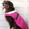 Alpine Tuf Terrain Dog Coat | Water-Resistant Canvas Winter Dog Jacket