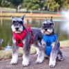Venture Paw Pull Control Dog Harness | Outdoor No-Pull Hiking Harness