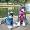 Venture Paw Pull Control Dog Harness | Outdoor No-Pull Hiking Harness