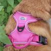 Venture Paw Pull Control Dog Harness | Outdoor No-Pull Hiking Harness