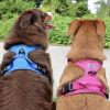 Venture Paw Pull Control Dog Harness | Outdoor No-Pull Hiking Harness