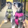 Venture Paw Pull Control Dog Harness | Outdoor No-Pull Hiking Harness