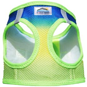 American River Choke-Free Dog Harness | Ombre Collection | Patented No-Pull Harness (Color: Cobalt Sport, size: X-Small)