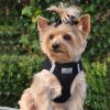 American River Solid Ultra Choke-Free Dog Harness | Patented No-Pull Mesh Harness