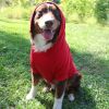 Flex-Fit Dog Hoodie | Premium Heavyweight Cotton Dog Sweatshirt