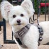 Venture Paw Pull Control Dog Harness | Outdoor No-Pull Hiking Harness