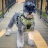 Venture Paw Pull Control Dog Harness | Outdoor No-Pull Hiking Harness