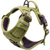 Venture Paw Pull Control Dog Harness | Outdoor No-Pull Hiking Harness