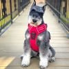 Venture Paw Pull Control Dog Harness | Outdoor No-Pull Hiking Harness