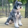 Venture Paw Pull Control Dog Harness | Outdoor No-Pull Hiking Harness