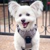 Venture Paw Pull Control Dog Harness | Outdoor No-Pull Hiking Harness