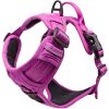Venture Paw Pull Control Dog Harness | Outdoor No-Pull Hiking Harness
