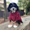 Soft Plush Dog Pullover | Cozy Fleece Dog Sweater for Winter