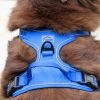 Venture Paw Pull Control Dog Harness | Outdoor No-Pull Hiking Harness